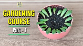 COMPLETE GARDENING COURSE – PART 1 | GARDENING FOR BEGINNERS | LEARN GARDENING by GARDEN TIPS 10,885 views 3 months ago 1 hour, 24 minutes