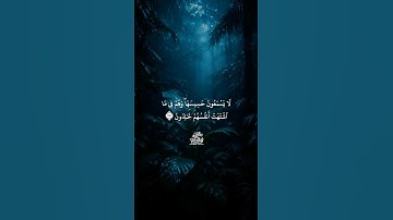 وما أرسلناك إلا رحمة للعالمين } تلاوة بصوت الشيخ عبدالله الموسى #quran #عبدالله_الموسى #shots