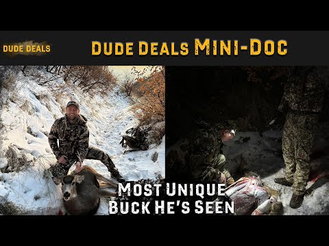 My First Buck Bow Hunting | Mini Doc