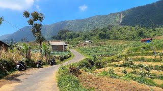 Прогулка по красивой индонезийской деревне || Деревня Телогомангунан, Индонезия