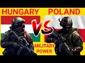 Hungary Vs Poland Military Power Comparison 2024  Poland Vs Hungary Military Power Comparison 2024