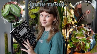 prepping for a trade, automating grow lights, upgrading hoya trellises, + more!! june reset