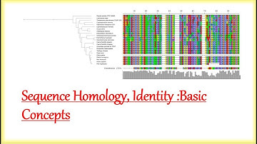 Sequence Homology, Identity: Basic Concepts Explained.