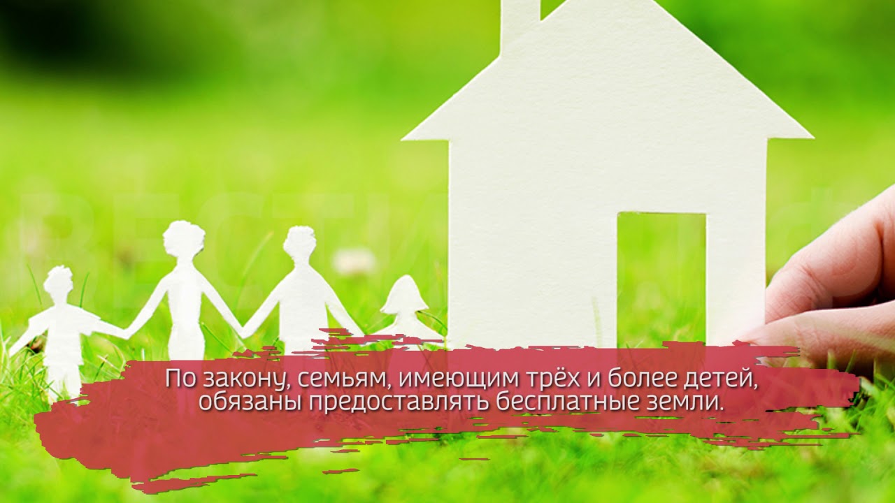 Многодетный. Участки для многодетных семей. Как получить земельный участок молодой семье. Земельные участки для многодетных семей. Выделение земельного участка многодетным семьям.