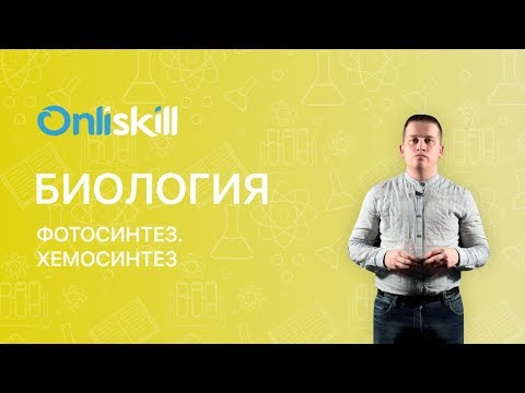 Видео: Почему важен хемосинтез?