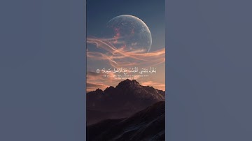 {وَيَومَ يَعَضُّ الظّالِمُ عَلى يَدَيهِ}. #اكسبلور #قران_كريم #تلاوة_خاشعة #قرآن
