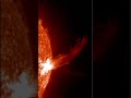 Strong X2.5 flare from sunspot group 4419 (it's not pointed our way) -24.4.26