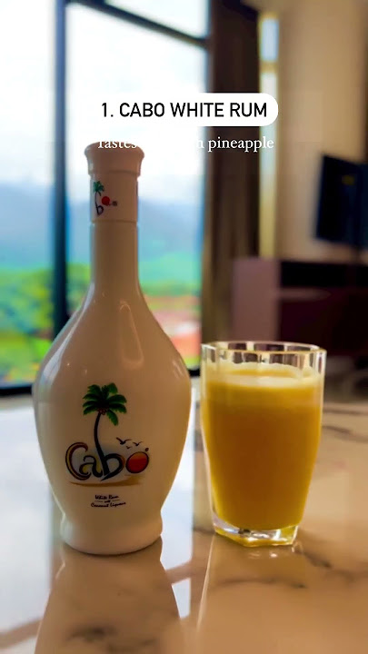 Must try drinks in Goa🏖️🍻 | Shwetha salian | WanderBees #goa