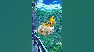 خذ القناعة بالدنيا كورقة اناشيد 