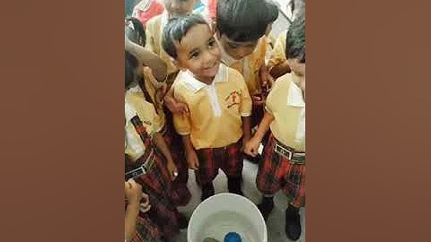 IGNOU DECE 4 project ,activity 19 The concept of sinking and floating