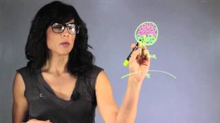 Why Do Meteors Explode? : About Astrophysics & Outer Space