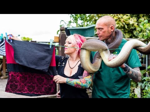 Reptile Lovers Live With 80 Snakes