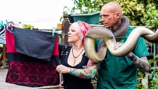 Reptile Lovers Live With 80 Snakes