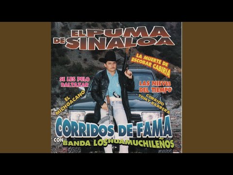 Corridos de Don