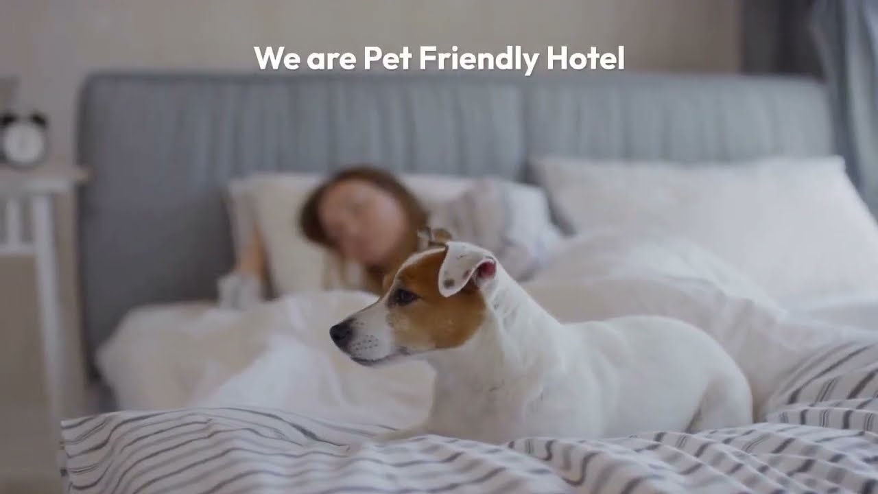 Hotels in Kingsland Pet Friendly Hotel Kingsland GA YouTube
