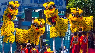 Múa Lân Hay Nhất lễ Khai Quang Điểm Nhãn Lân Sư Rồng 2025 đoàn LSR Trung Sơn Võ Đạo