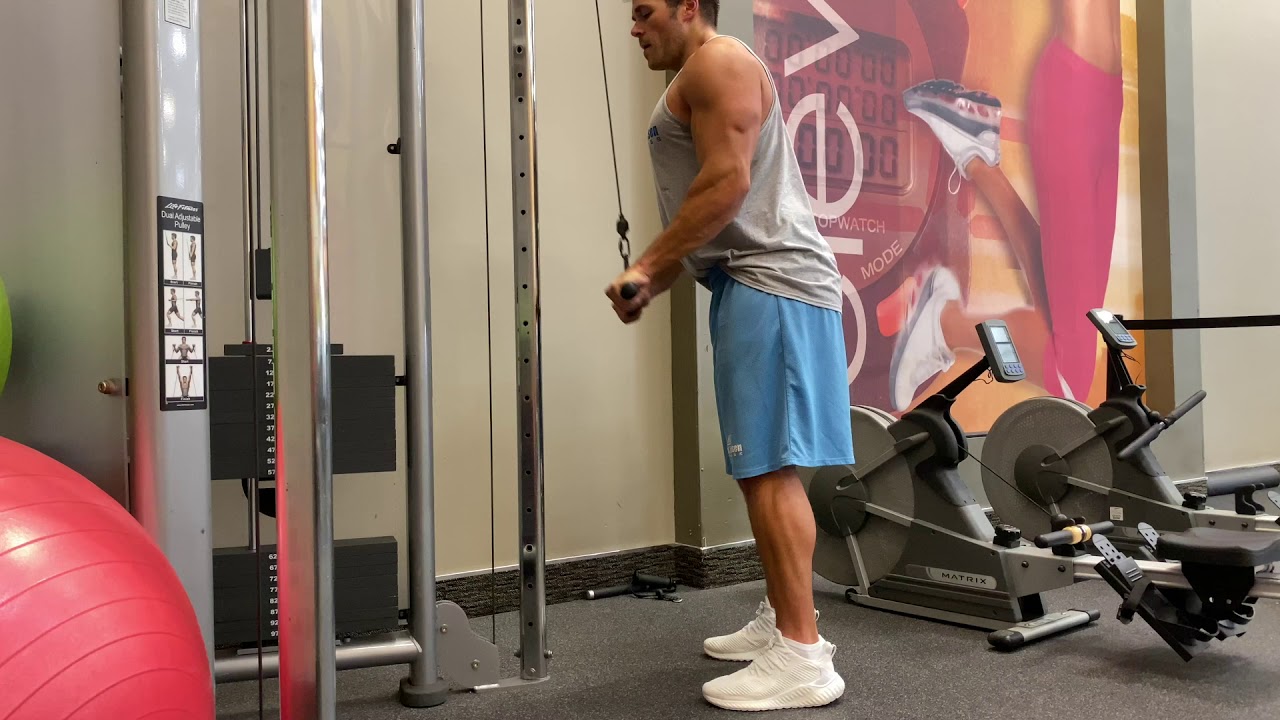 camera iphone 8 plus apk Straight Bar Tricep Pushdown