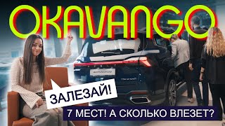 И КОМУ ТЕПЕРЬ НУЖЕН МИНИВЭН? Обзор доступного GEELY Okavango 2024