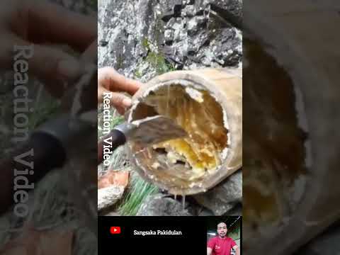 Manfaat Madu Untuk