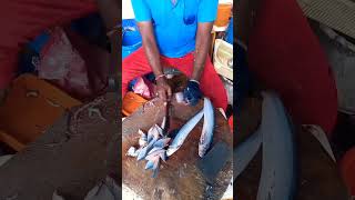 Mullu Vaala Meen Cutting