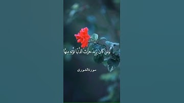 سورة الشورى // الشيخ علي جابر رحمه الله ❤️