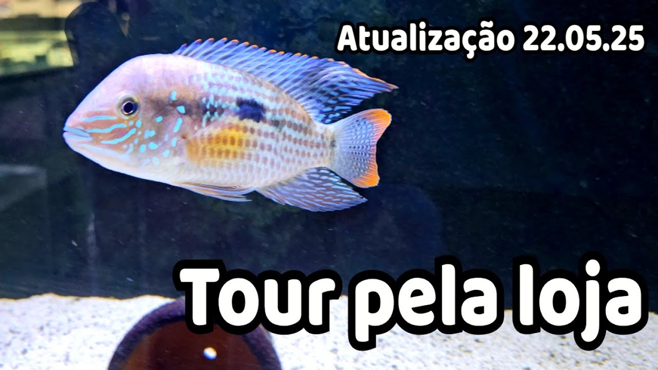 Loja ATOS Aquarismo - Tour de atualização e promoções!