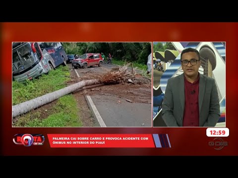 Esperantina: Palmeira cai sobre carro e provoca Acidente com Ônibus na zona rural 26 02 2025