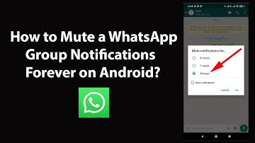 How to Mute a WhatsApp Group Notifications Forever on Android?