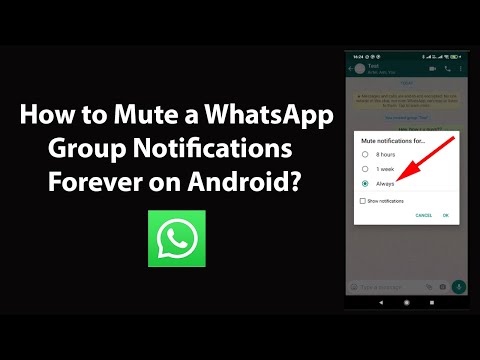 How to Mute a WhatsApp Group Notifications Forever on Android?