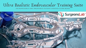 Train Like Never Before: Hyper-Realistic Endovascular Simulator | SurgeonsLab AG