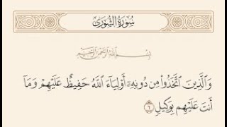 وَالَّذِين اتَّخذُوا مِن دُونِه أوْلِيَاءَ اللَّهُ حَفِيظٌ عَلَيهِمْ وَمَا أَنتَ عَلَيْهم بوَكِيل 6