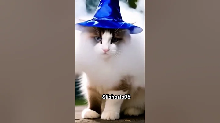 Video 10793921: cat cute beautiful
