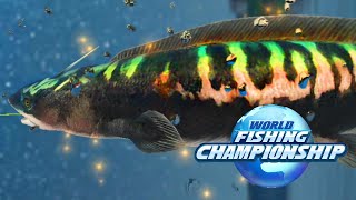 Legendary fish Xenacanthus catch WORLD FISHING CHAMPIONSHIP 釣魚大亨 Fishing Strike 피싱스트라이크 screenshot 5