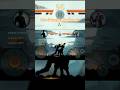 Shadow Fight 2 #shorts #gamingshorts #trending #funny