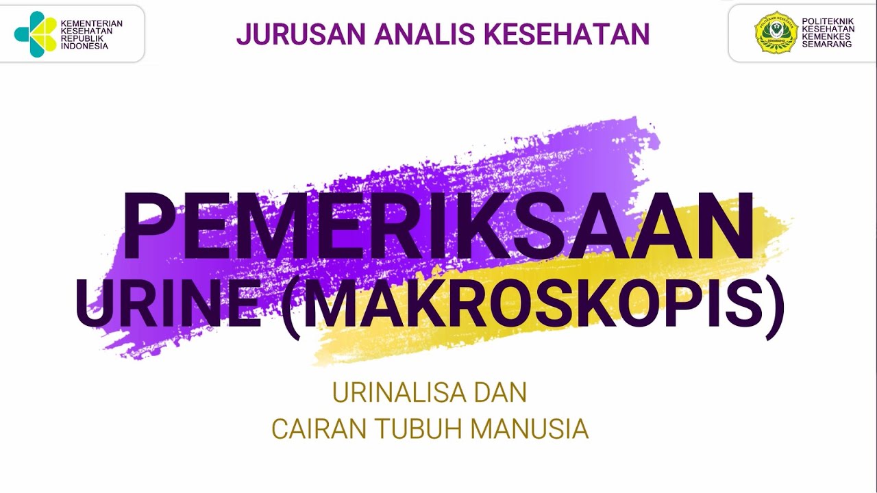 PEMERIKSAAN MAKROSKOPIS URINE - URINALISA DAN CAIRAN TUBUH