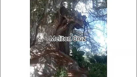 Meliton Cruz Photo 1