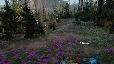 Far Cry® New Dawn БИЗОН-МУТАНТ слабое место