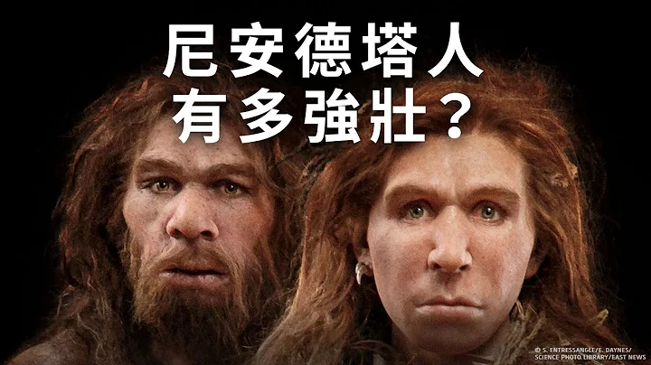 誰會勝出：人類vs. 尼安德塔人 - 天天要聞