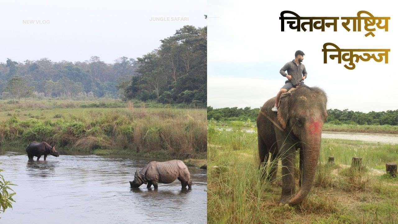 Sauraha Adventure | Chitwan National Park Jeep Safari / Bike Trip