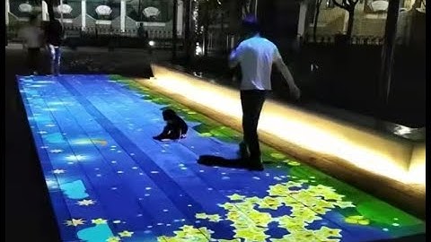 How many effects do the gobo projectors have?