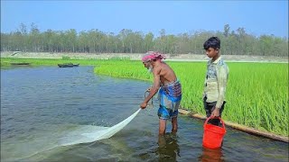 Amazing Net Fishing In River  Cast Village Net Fishing With Old Fisherman