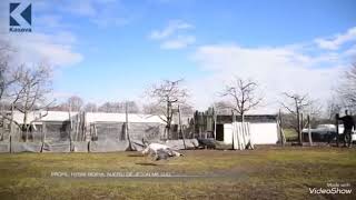 Hysni Rexhaj Mreti Gjk