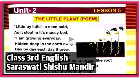 Class 3 English lesson 5 || The Little Plant Poem || Maths Magic || Saraswati Shishu Mandir