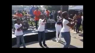 Timmonsville, SC Homecoming 2012