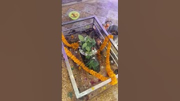 Laagi lagan shankara 🔱 🕉 Mahadev status video 🔱🔱🔱🙏 #mahashivratri #mahadev #shorts