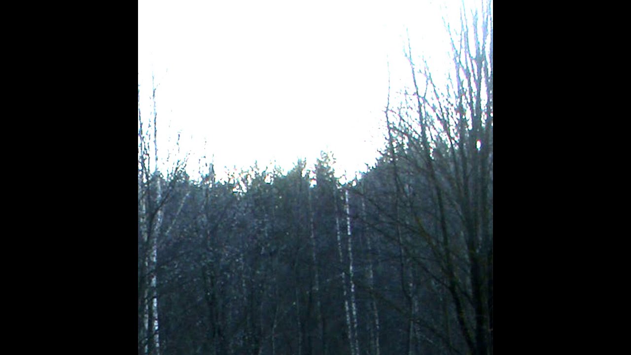 [ Λ N I O И Λ ] - Alive