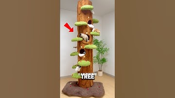 Easy Cat Tree DIY😮❤️#catshorts #cat #petowner