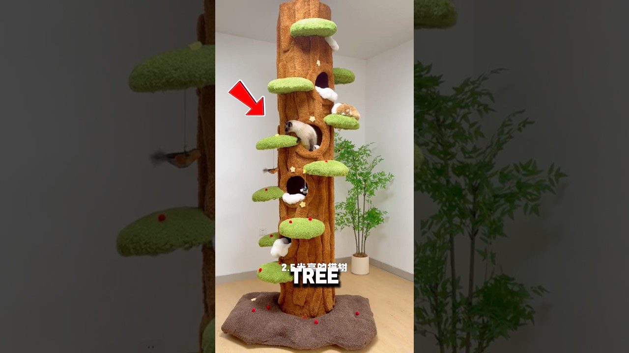 Easy Cat Tree DIY😮❤️#catshorts #cat #petowner