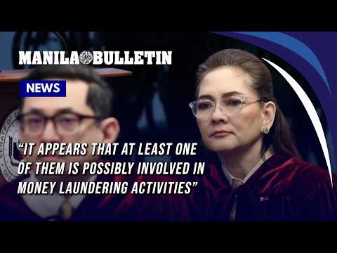 Hontiveros: CALE88 got funds from Ukrainian firm tagged in money-laundering, fraud