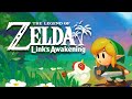 The Legend of Zelda : Link\'s Awakening (dunkview)